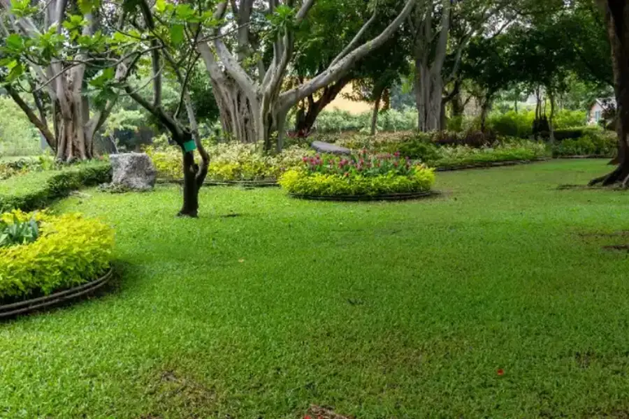 Key Steps To Keep Your Lawn Lush And Green Year-round Martinsburg, WV Key Steps To Keep Your Lawn Lush And Green Year-round Martinsburg, WV
