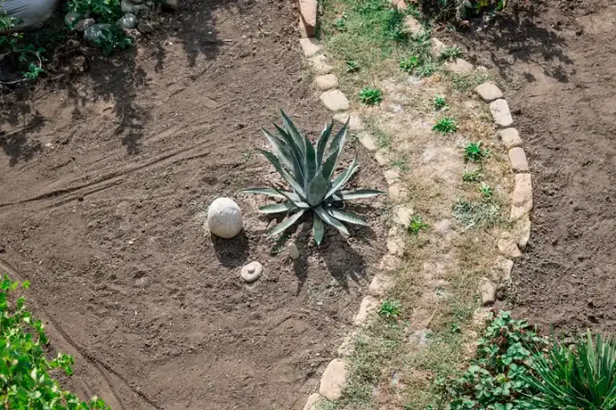 Landscape Installation Planning For Homeowners Guide Martinsburg, WV Landscape Installation Planning For Homeowners Guide Martinsburg, WV