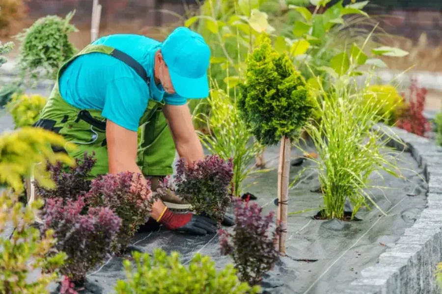 Local Lawn Maintenance Martinsburg, WV Local Lawn Maintenance Martinsburg, WV