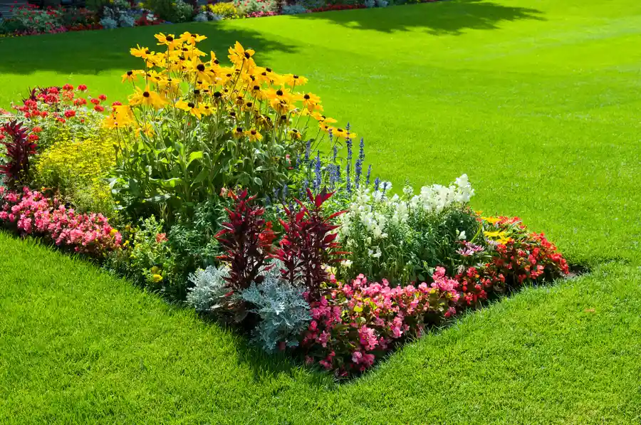 Planning Seasonal Interest In Landscape Design Martinsburg, WV Planning Seasonal Interest In Landscape Design Martinsburg, WV