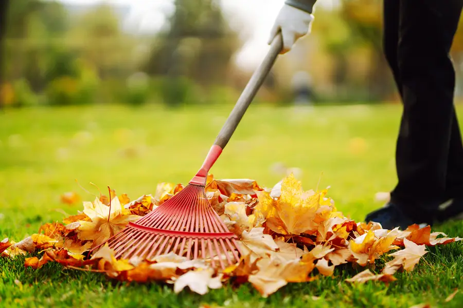 Tools Used For Effective Leaf Removal Services in Martinsburg, WV Tools Used For Effective Leaf Removal Services in Martinsburg, WV